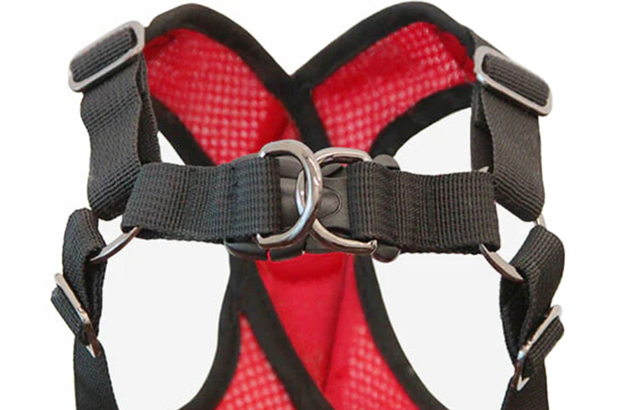 Close-up view of a red and black dog harness with four adjustable straps, highlighting the neck and chest adjustments.