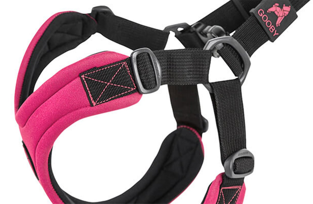 Close-up of a pink and black dog harness with adjustable straps and buckles, ensuring a secure fit for small dogs.