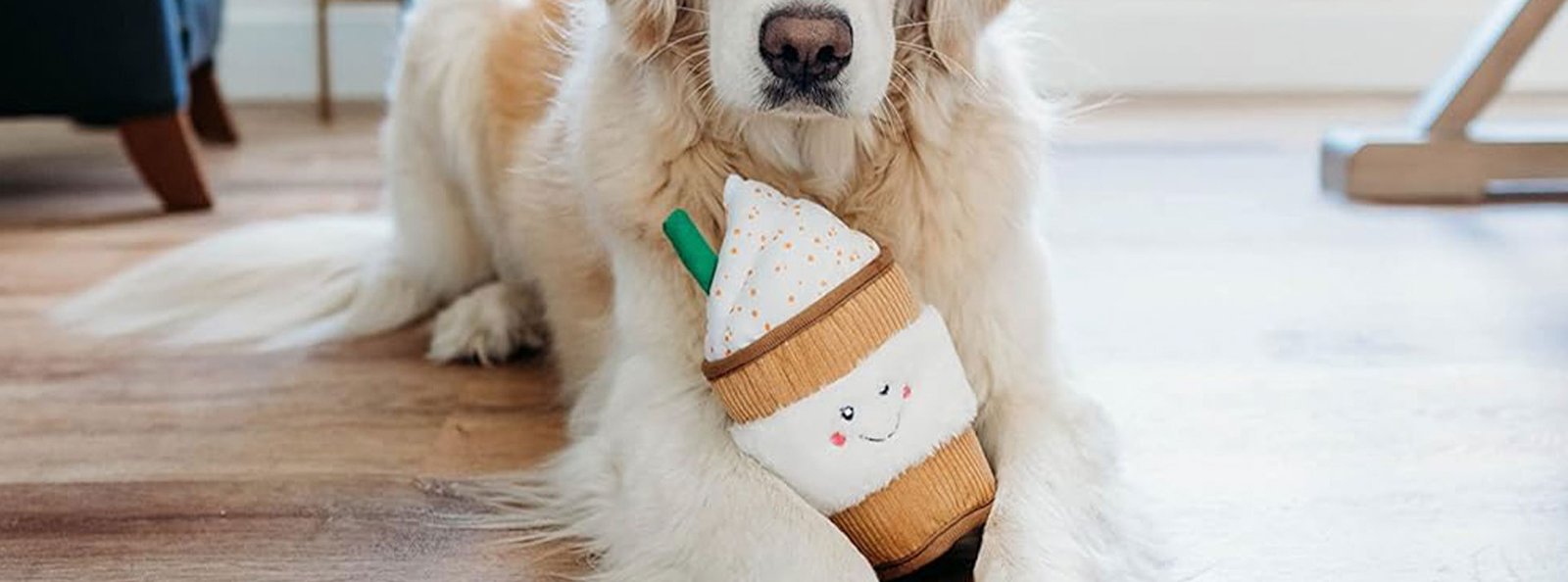 A fluffy white dog holding a toy resembling a cup of coffee with a happy face between its paws, sitting on a wooden floor with furniture in the background.