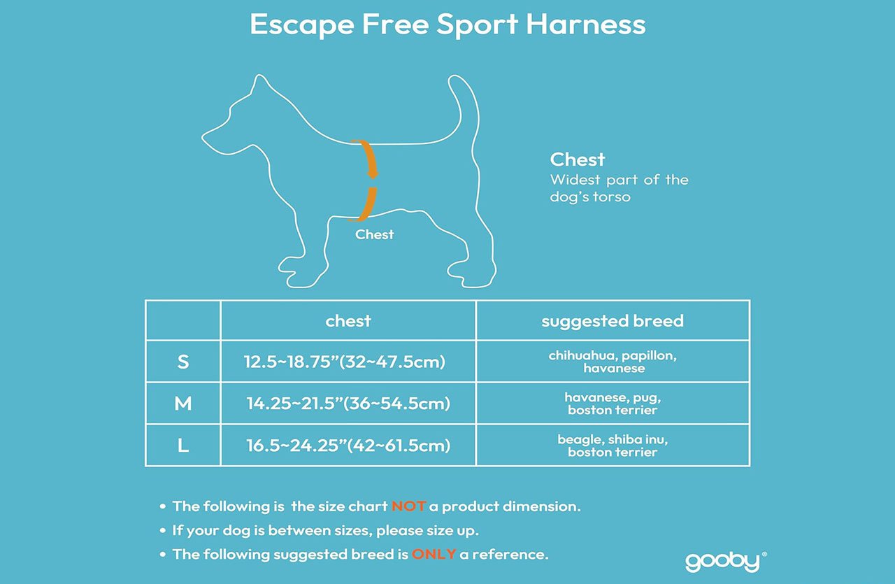 Graphic showing a dog with an orange line indicating the chest area, along with a size chart for the Gooby Escape Free® Sport Harness.