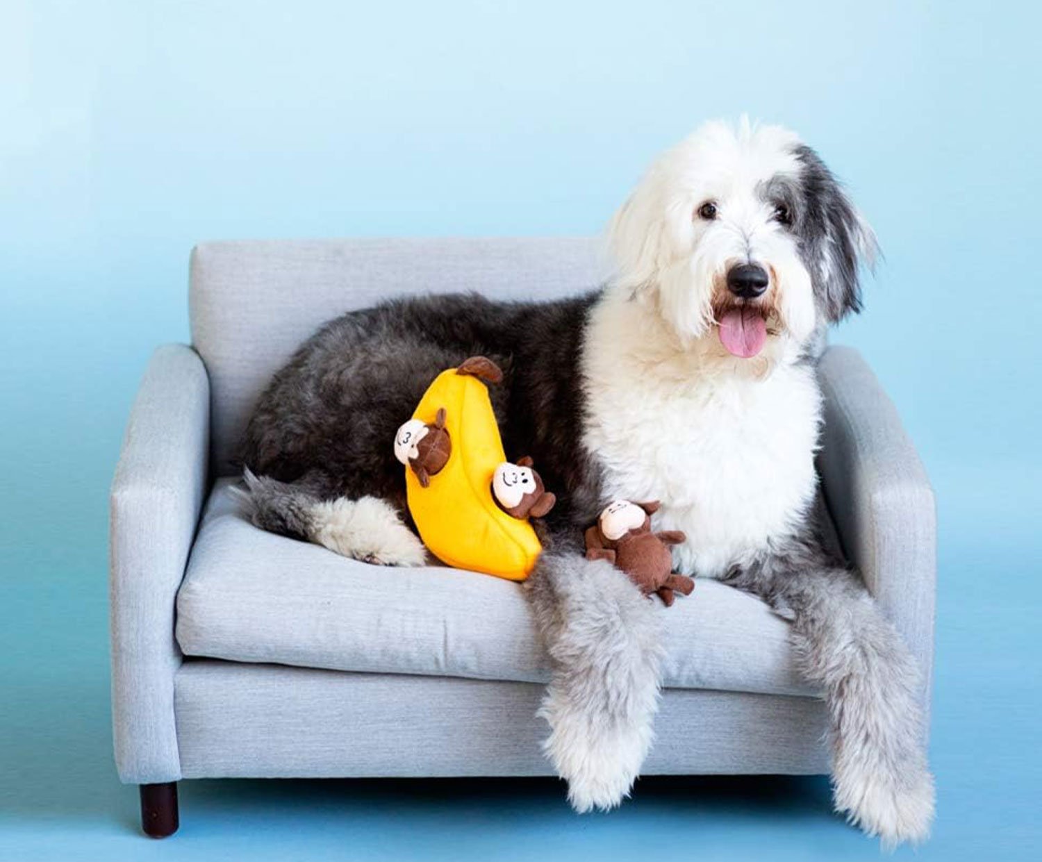 Dog lying on a gray sofa with a banana and monkey plush toys