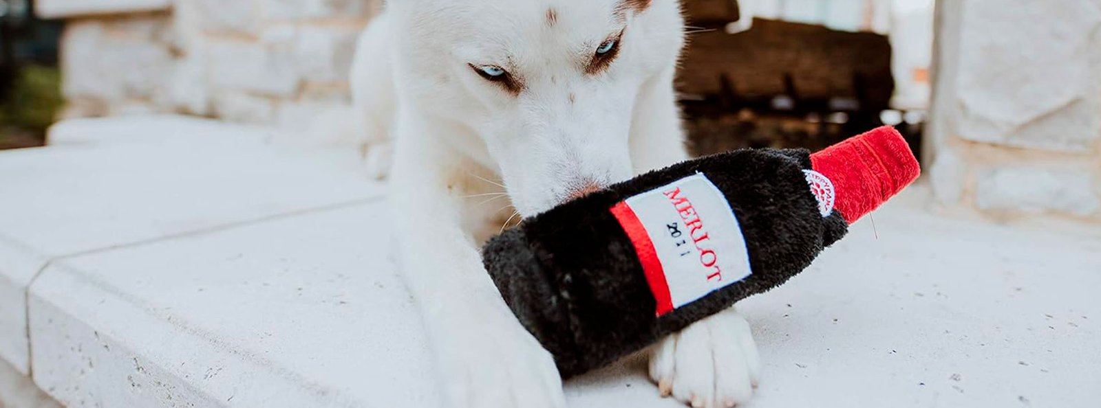 White dog with blue eyes holding a plush Merlot wine bottle toy in its mouth, symbolizing the joy of sharing at gatherings.