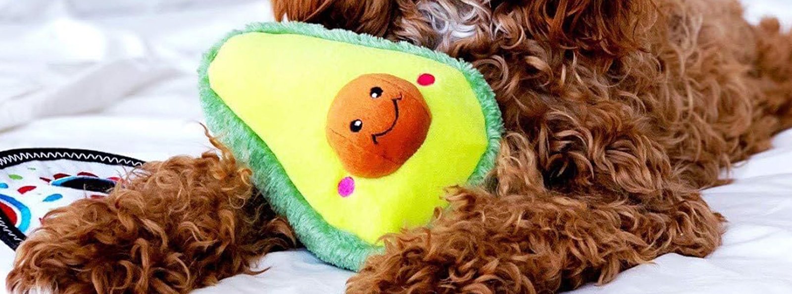 Curly-furred brown dog snuggling with a smiling avocado plush toy on a cozy bed