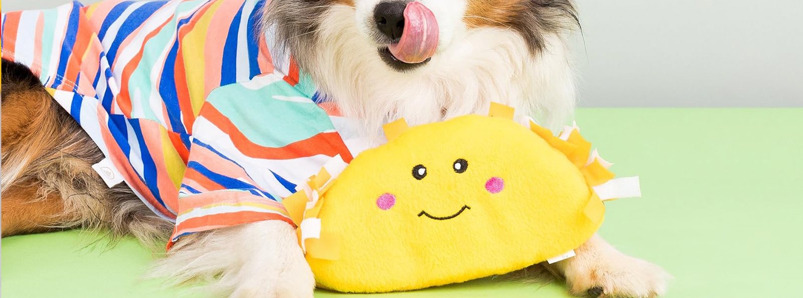 A joyful dog wearing a colorful striped shirt licks its nose with anticipation, holding a yellow plush toy with a happy face and pink cheeks between its paws.