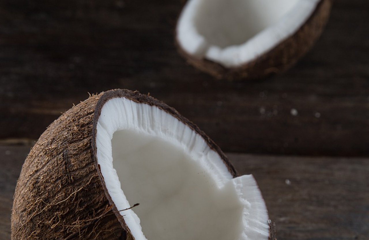 Close-up of a halved coconut on a rustic wooden surface, symbolizing the natural ingredients in the pet-friendly serum