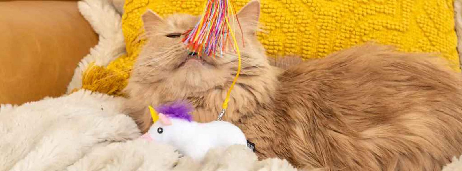 A fluffy light brown cat lounging on a white fluffy surface, interacting with a colorful string toy and a white unicorn plush toy.