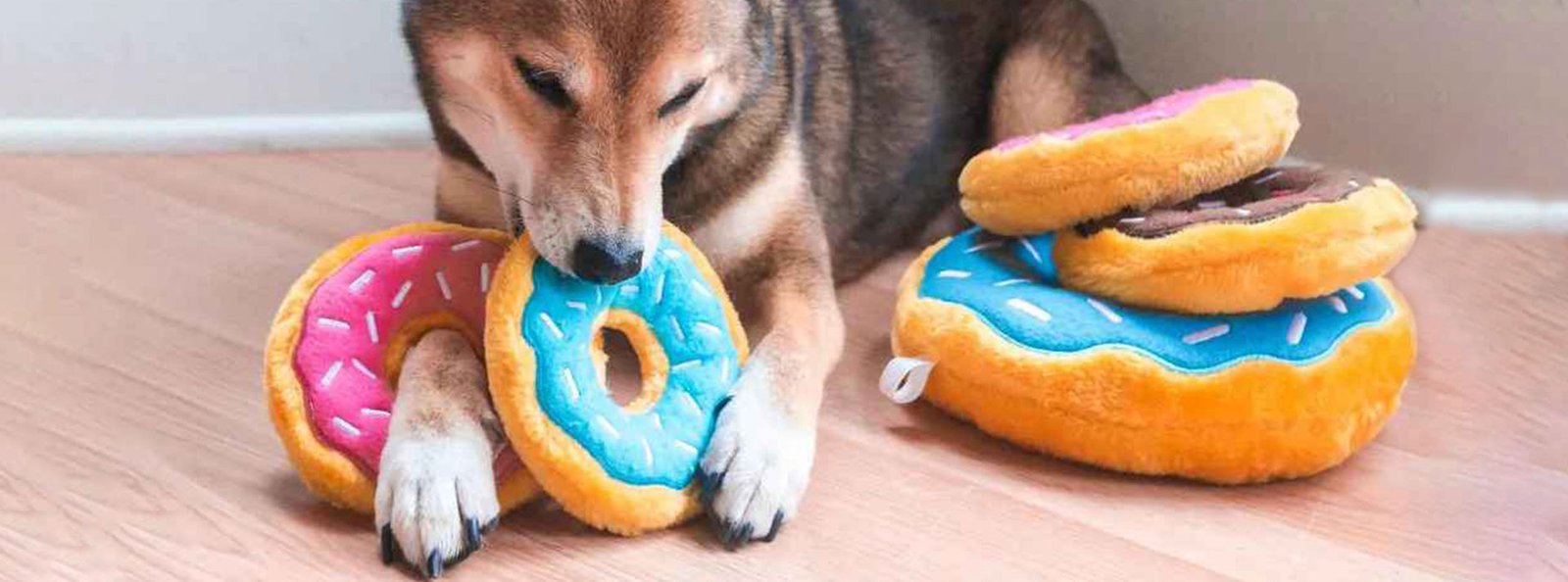 Dog lying on a wooden floor with three colorful plush donut toys, including pink, blue, and chocolate with white drizzle