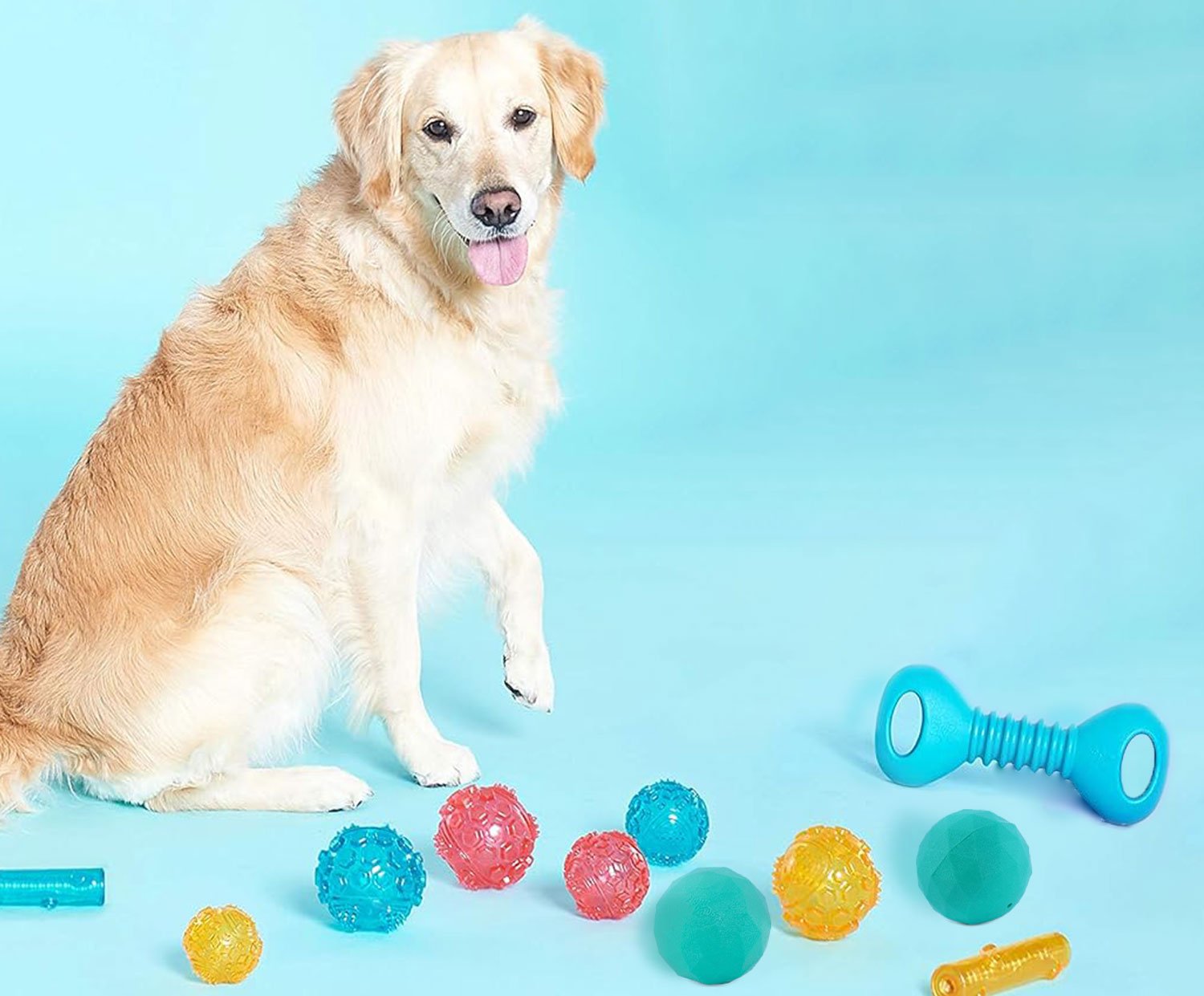 A content golden retriever sits beside a vibrant collection of ZippyTuff toys, including colorful balls and a blue dumbbell, on a light blue background