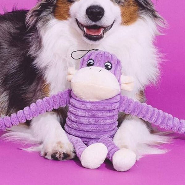 Small purple plush monkey dog toy with crinkle limbs and squeaker, displayed in front of a smiling Shetland Sheepdog