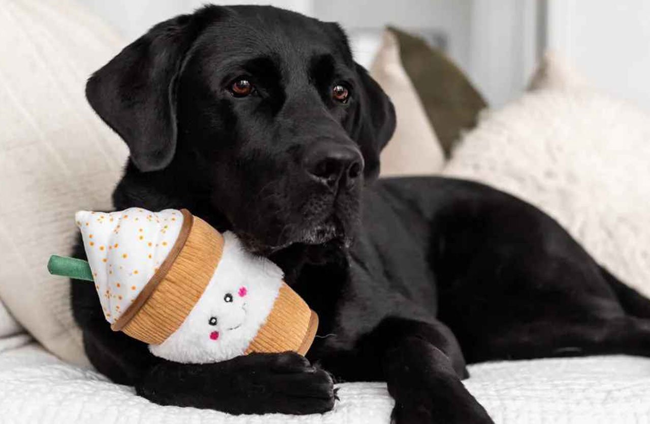 A black dog lying on a white couch, lovingly clutching a plush toy ice cream cone.