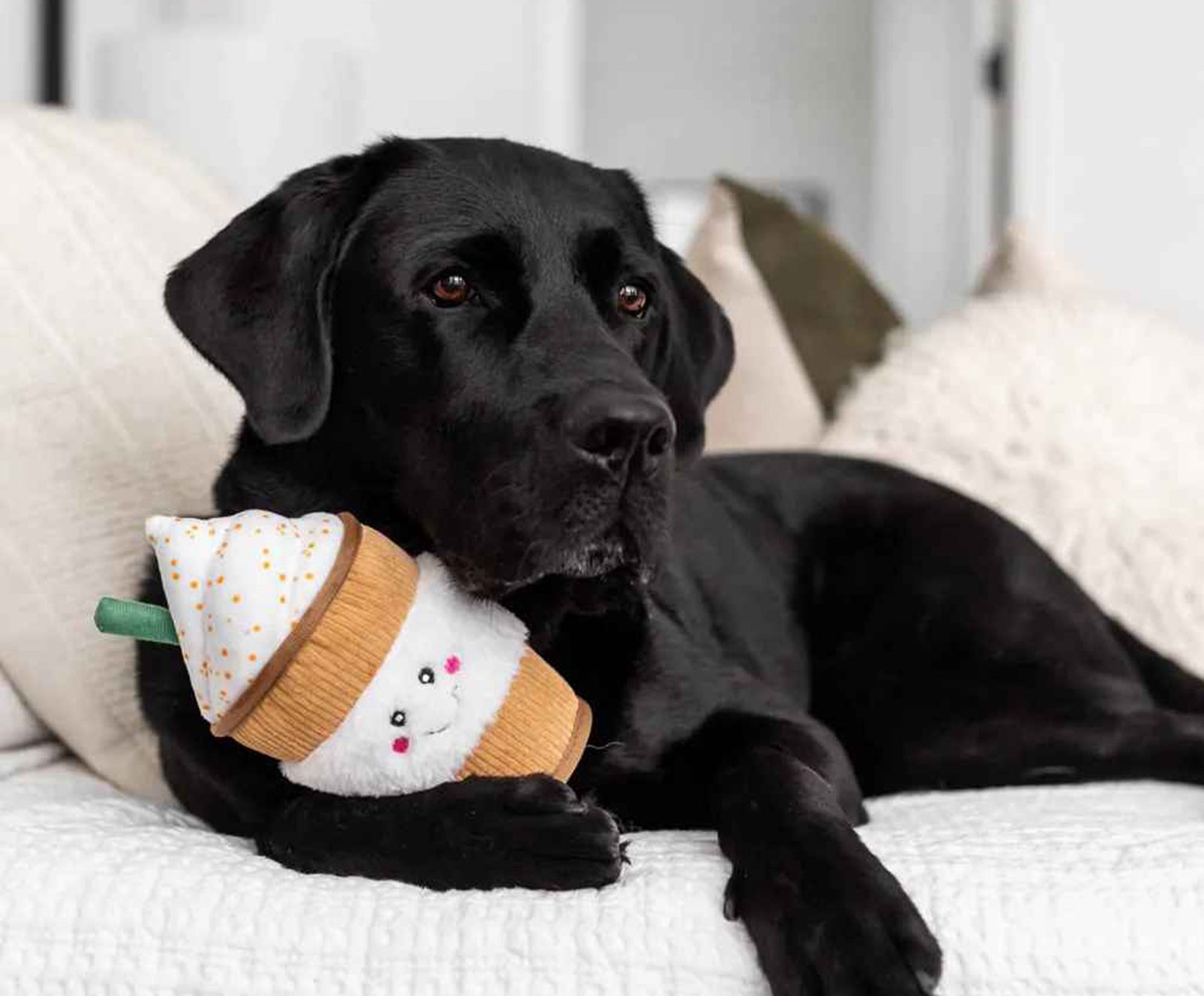 A black dog lying on a white couch, lovingly clutching a plush toy ice cream cone.