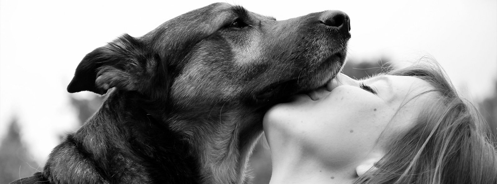 Black and white image of a content dog nuzzling the face of a smiling person, symbolizing the close bond and affection that can be enhanced with our premium pet perfume.