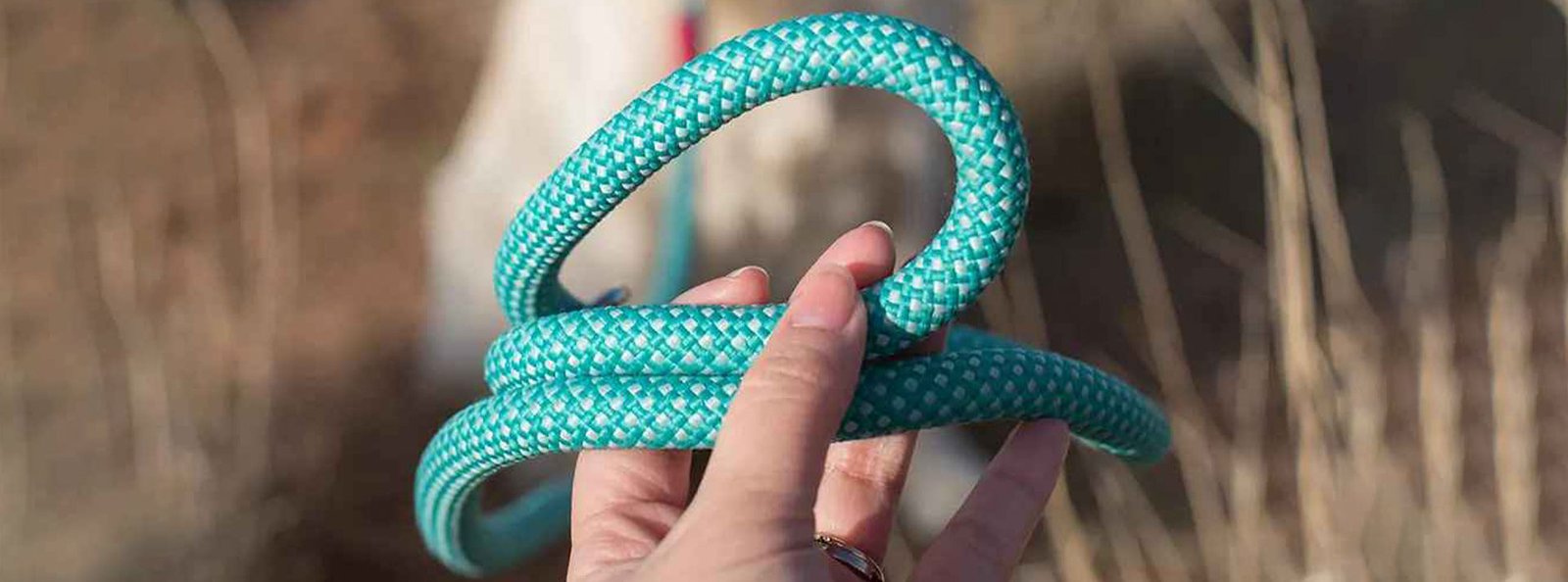 Close-up of a hand holding a turquoise braided dog leash with a blurred background