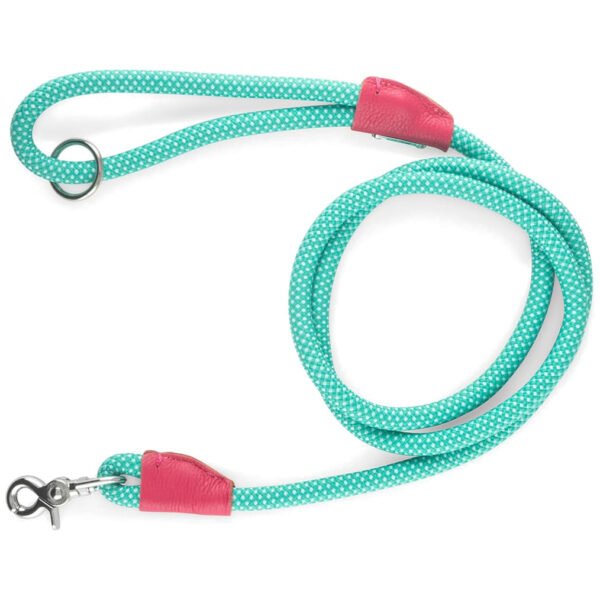 Teal-colored ZippyPaws dog leash with dotted pattern and red accents, 1.5 meters long