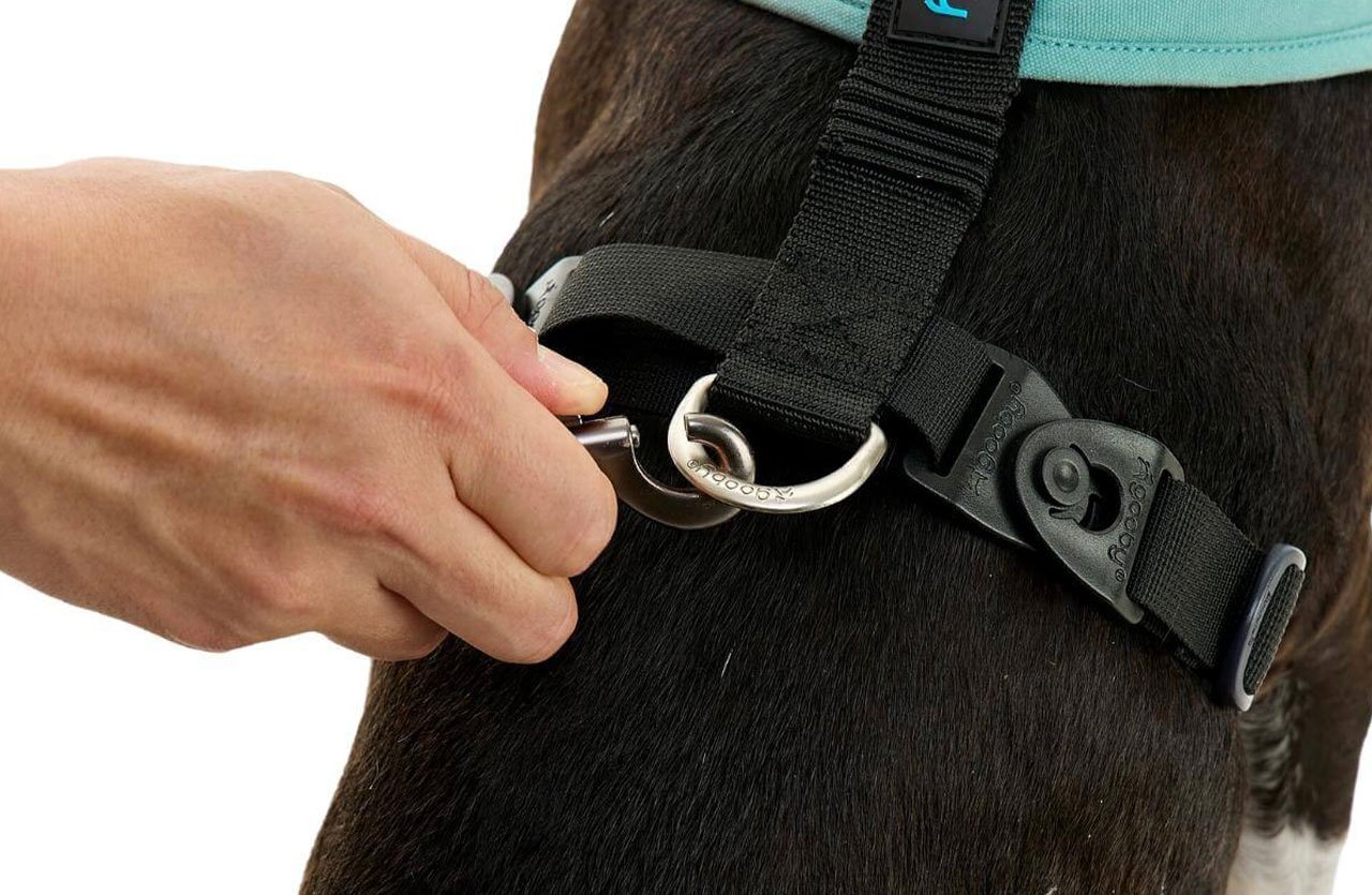 Close-up of a person’s hand attaching a metal D-ring to a black fabric strap on a harness, demonstrating its durability and strength