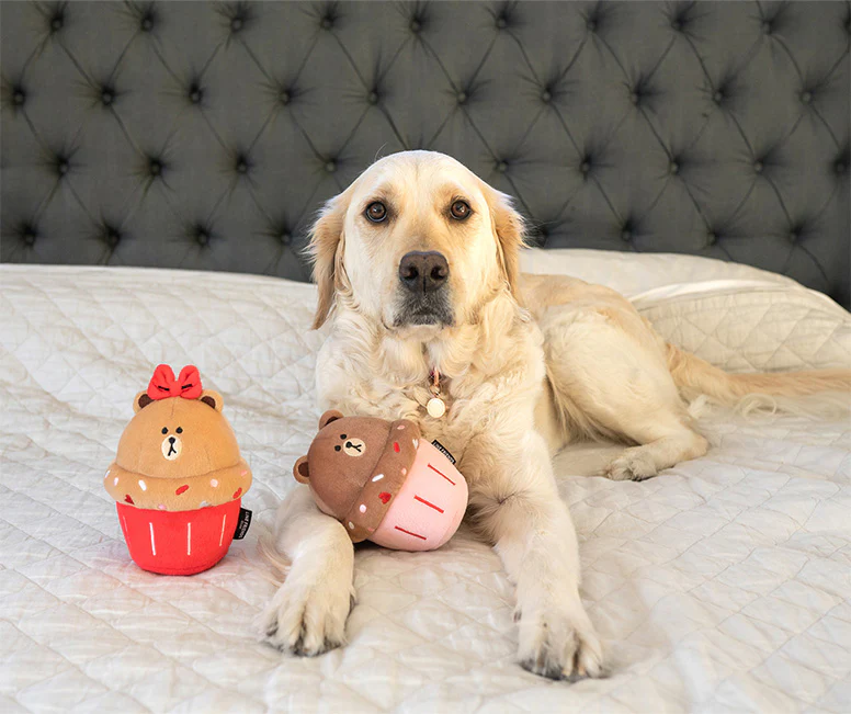 Golden retriever lying on a quilted bed, posing for a photo next to the nomnomz cupcakes