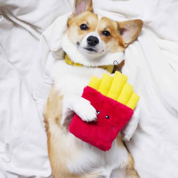 Adorable ZippyPaws plush squeaker dog toy shaped like a box of French fries.