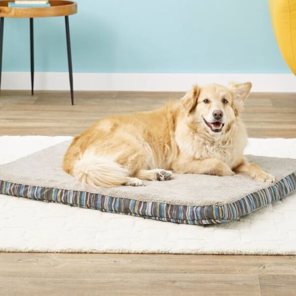 Golden retriever lying contentedly on an Aspen Pet orthopedic dog bed featuring a removable striped cover in a cozy home setting.