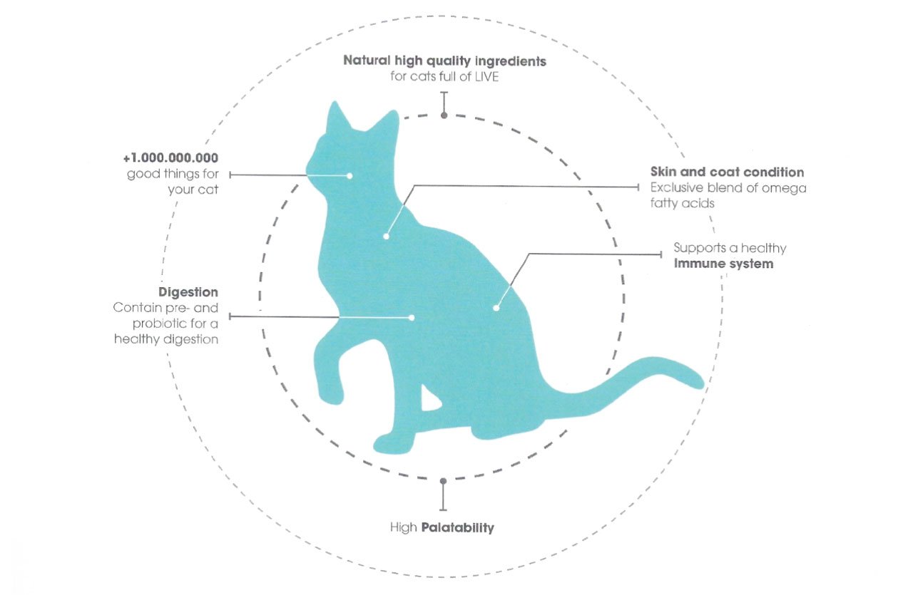 Silhouette of a cat with annotations highlighting various health benefits of ProBiotic LIVE, including digestive health, immune support, and more.