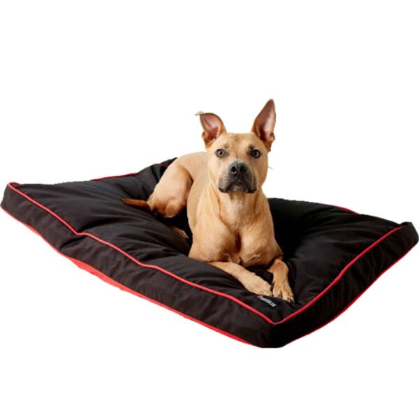 A tan dog lying on a black Dogzilla Gusset Pillow Dog Bed with red piping and a visible Petmate logo