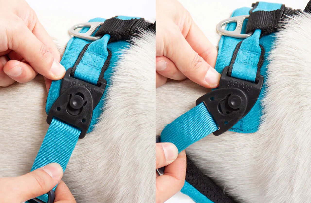 Close-up of a blue dog harness featuring an Easy-Snap Rotational Buckle in two different positions.