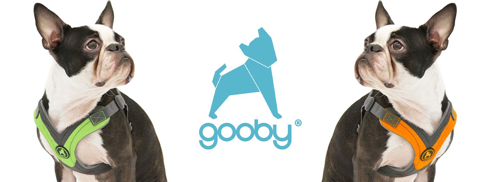 A Boston Terrier wearing a Gooby choke-free dog harness in two different views, showcasing the secure fit and fashionable design