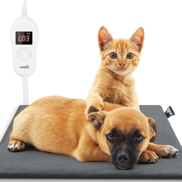 A small brown dog and an orange kitten comfortably resting on a Pecute branded black pet heating mat, with a visible temperature controller displaying “1:03”.