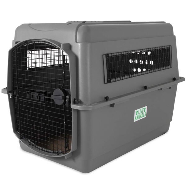 A sturdy, grey Petmate Sky Kennel featuring a black wire door and side vents, designed for safe dog travel.