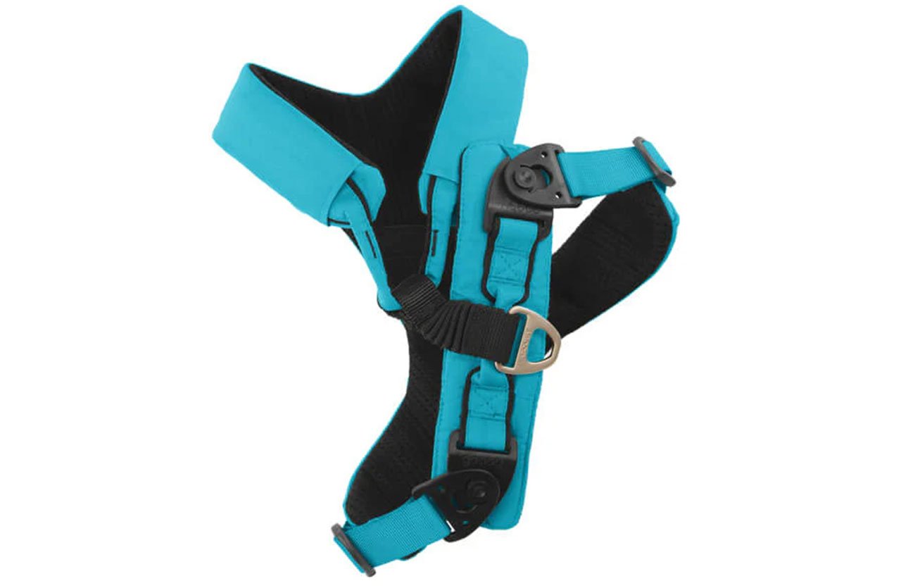 Turquoise dog harness with adjustable straps and padding, designed for comfort and flexibility.