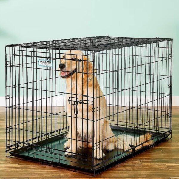 Extra large-sized One Door ProValu Wire Dog Crate by Precision Pet Products®, featuring a single front door with secure latch, black electro-coat finish, and a golden-colored dog sitting inside.