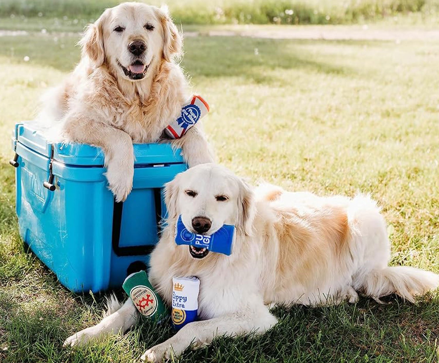 Two golden retrievers lying on grass next to a blue cooler, surrounded by toy beer cans.