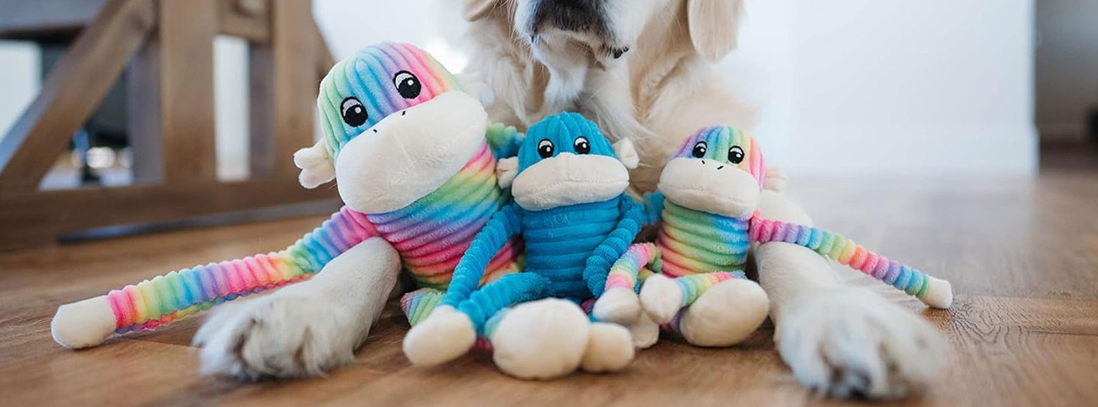 Two identical plush toys with rainbow stripes and a dog in the background on a wooden floor, symbolizing friendship and joy.