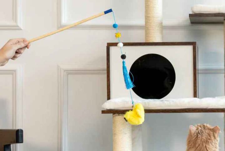 A cat gazes at the ZippyStick Bird, an interactive cat toy wand featuring a blue feather, beads, and a yellow fluff on a string, held by a person against a home interior background.