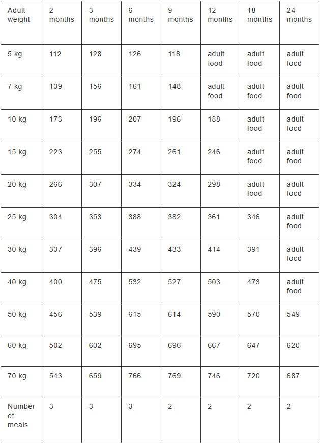 Feeding guide chart for dogs based on weight and age, detailing recommended daily feeding amounts in grams.