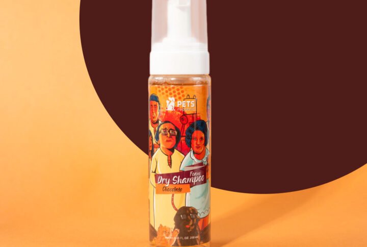 Pets Republic Chocolate 250ml Dry Foam Shampoo bottle with easy foam application for dogs and cats, offering quick dry and long-lasting scent