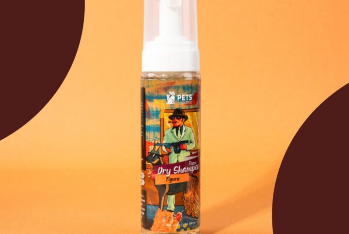 Pets Republic Figura 250ml Dry Foam Shampoo bottle with easy foam application for dogs and cats, offering quick dry and long-lasting scent