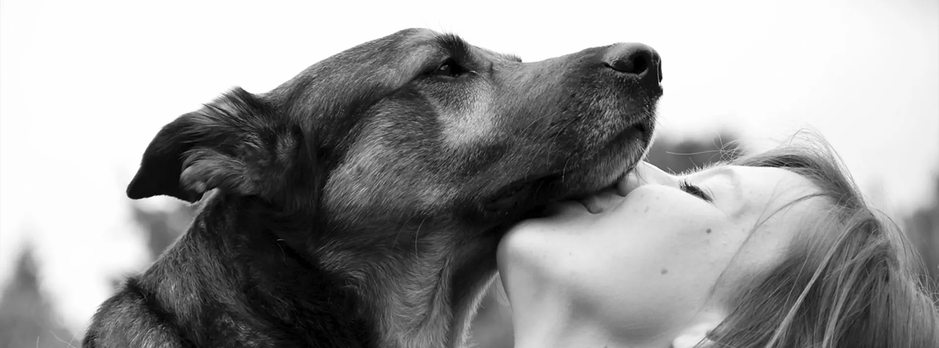 A black and white close-up of a dog being affectionately kissed by a person, symbolizing the care and nourishment provided by Amity Premium Dog Dry Food Chicken & Rice for easy digestion.