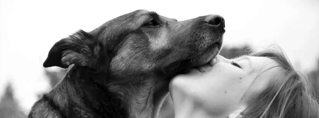 A woman affectionately kissing a dog, symbolizing the love and care homeowners have for their pets, and highlighting the importance of Amity Premium Dog Dry Food Maintenance for their health and well-being with 23% protein and essential daily nutrition.
