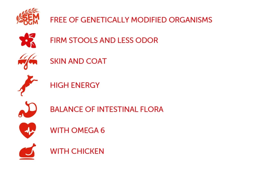A list of key benefits for Campeao High Energy Dry Food, including "Free of Genetically Modified Organisms," "Firm Stools and Less Odor," "Skin and Coat," "High Energy," "Balance of Intestinal Flora," "With Omega 6," and "With Chicken," highlighting its premium nutrition and energy-boosting properties.