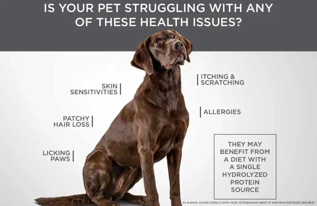 A brown Labrador Retriever sitting with text highlighting "Skin Sensitivities," "Itching & Scratching," "Allergies," and the benefits of a single hydrolyzed protein source.