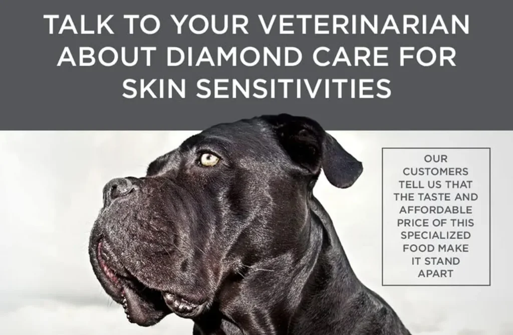 Close-up of a black Cane Corso with text emphasizing customer satisfaction with the taste and affordable price of this specialized food.
