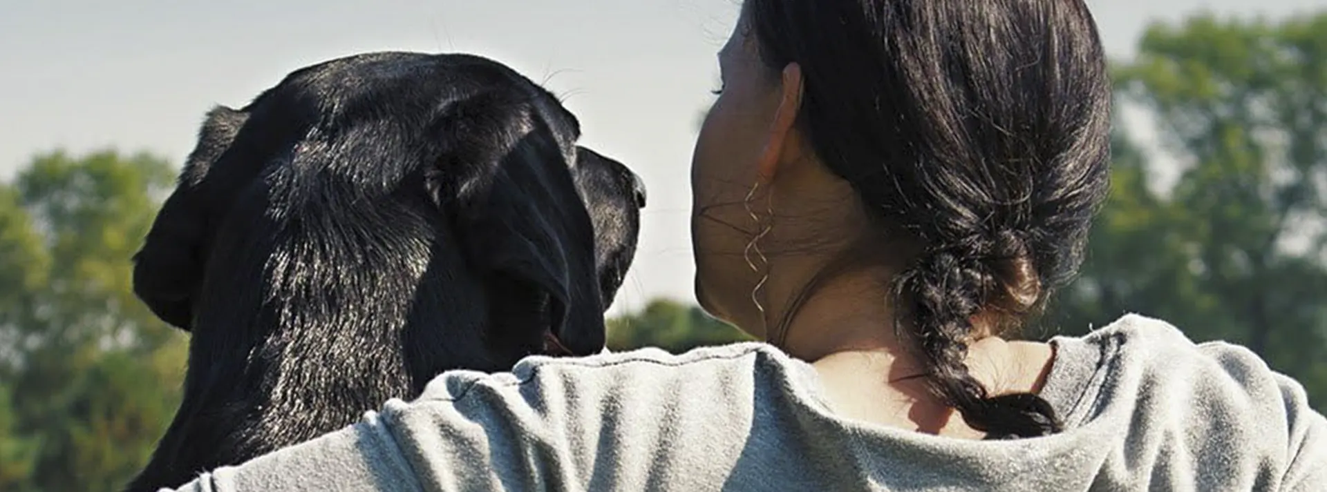 A person embracing a dog outdoors, conveying comfort and care for a dog with sensitive skin.