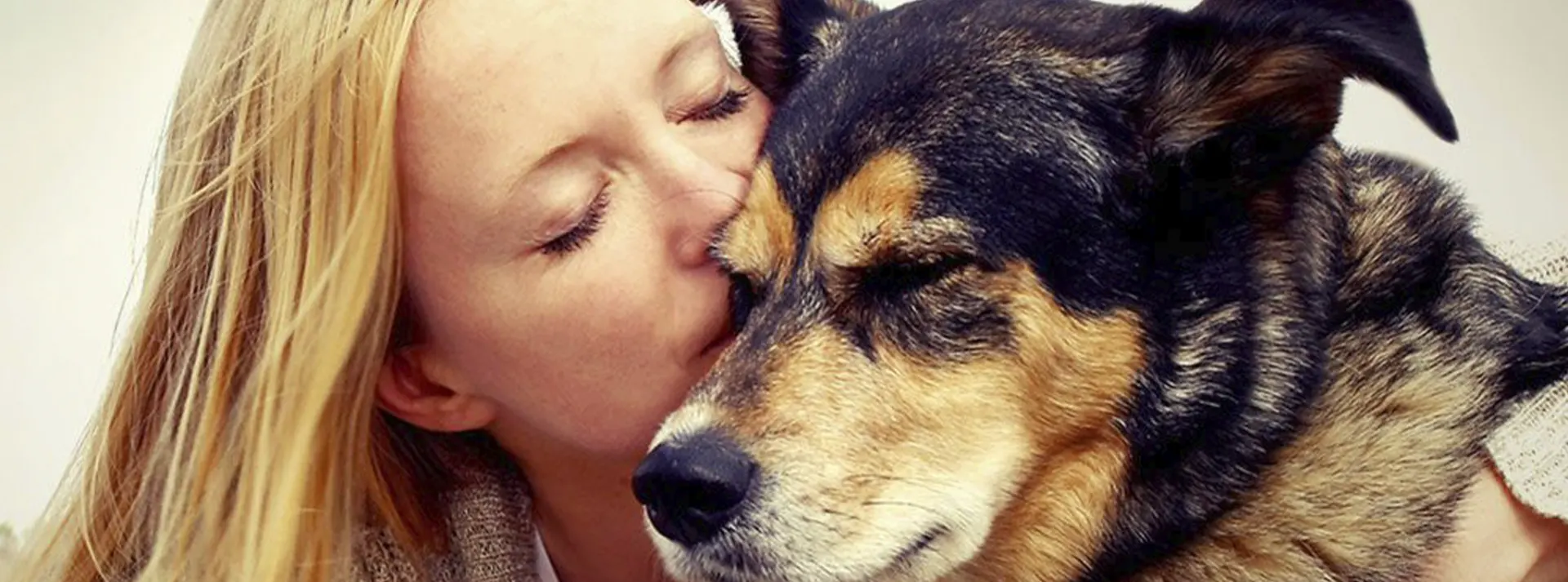 A person gently nuzzling a dog, conveying care and relief from discomfort.