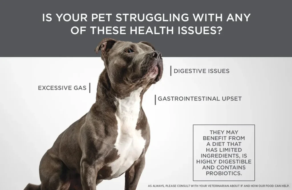 A thoughtful-looking American Staffordshire Terrier with text highlighting "Digestive Issues," "Gastrointestinal Upset," and the benefits of a limited-ingredient diet with probiotics.