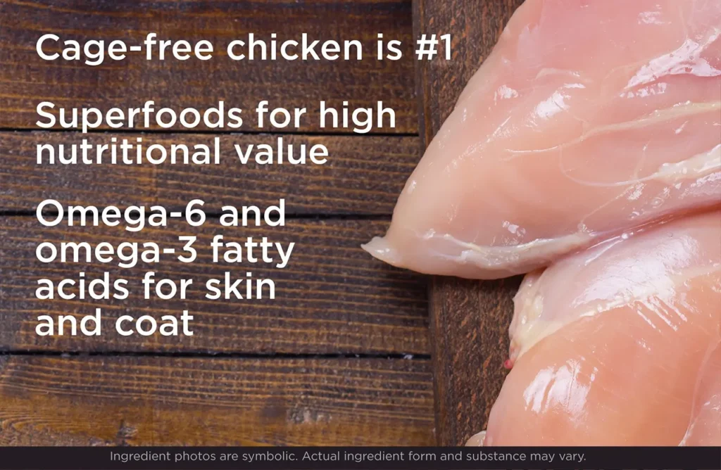 Image of fresh chicken breasts, emphasizing "Cage-free chicken is #1" and highlighting the DHA benefits for brain development.