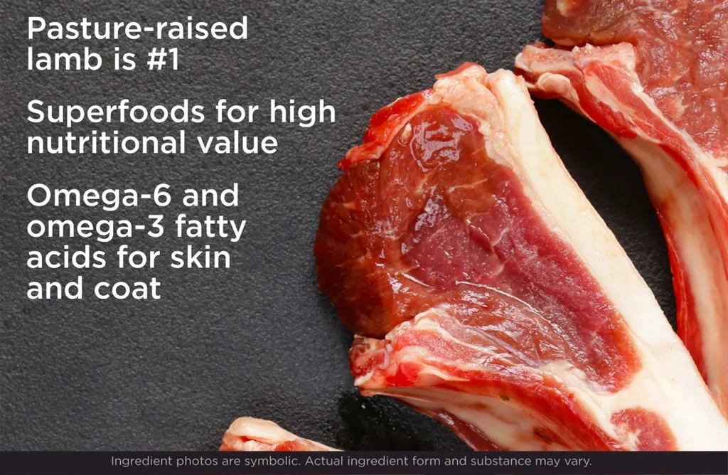 Image of fresh lamb, emphasizing "Pasture-raised lamb is #1" and highlighting the DHA benefits for brain development in puppies.