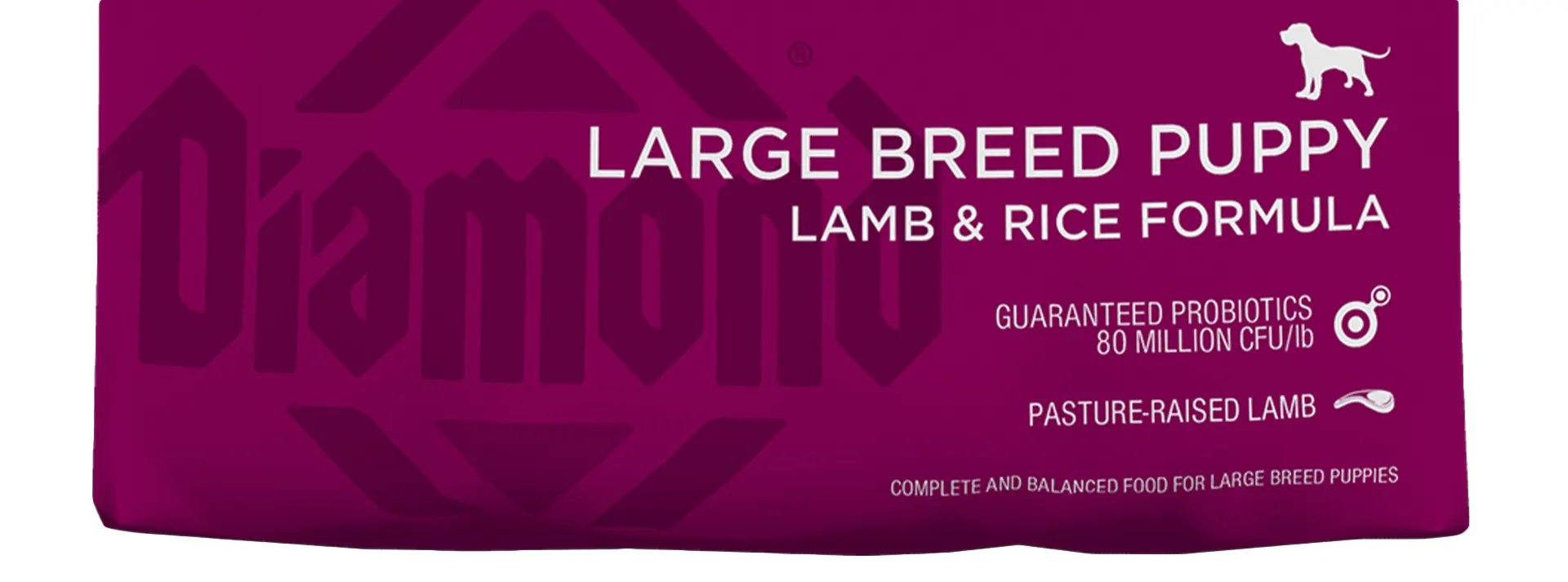 Close-up of the Diamond Naturals Large Breed Puppy Lamb Meal & Rice Formula bag, highlighting "Large Breed Puppy" and "Pasture-Raised Lamb."