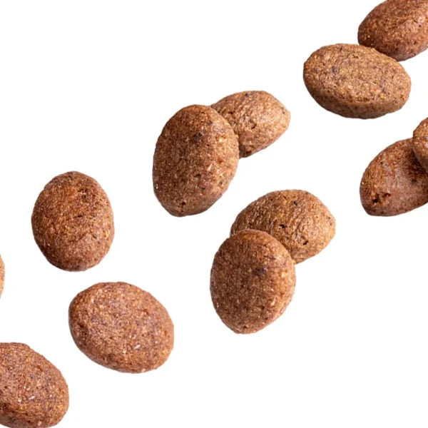 Close-up view of Euro Premium Adult DERMA+ Fresh Salmon kibble, showing its textured, oval shape and hypoallergenic properties.