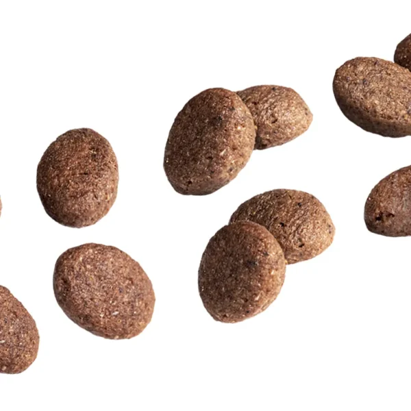 Close-up view of Euro Premium Adult DIGESTION+ Fresh Duck kibble, showing its textured, oval shape designed for digestive ease.