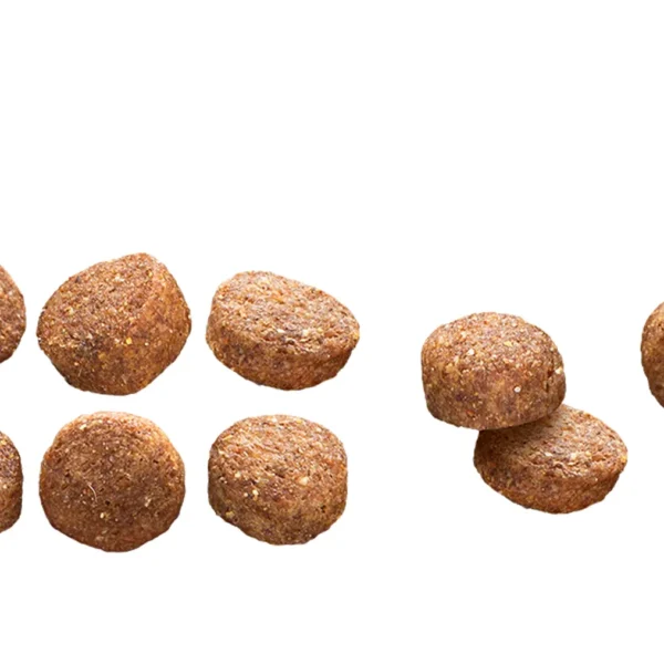 Close-up view of Euro Premium All Sizes Adult Light Chicken & Rice kibble, showing texture, shape, and size.